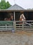346 Ireland Road, Waitoki, Kaukapakapa - Carousel 32