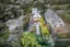4 Te Kura Road, Pukerua Bay, Porirua - Carousel 32