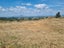 254B Pekanui Road, Puketotara, Pirongia - Carousel 8