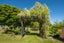 5045 State Highway 63, Wairau Valley, Blenheim - Carousel 25