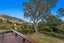 8348 State Highway 35, Whanarua Bay, Te Kaha - Carousel 2