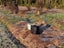 14 Pioneer Drive, Franz Josef Glacier - Carousel 6