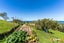 41 McIntosh Road, Brighton, Dunedin - Carousel 29