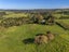 2640 SOUTH HEAD ROAD, Helensville, Auckland - Carousel 44