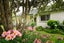 175 Amberley Avenue, Highbury, Palmerston North - Carousel 16