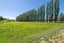 24 East Chatton Road, Maitland, Gore - Carousel 35