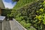 2/12 Bella Vista Road, Herne Bay, Auckland - Carousel 11