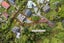 34 Forest Road, Geraldine, Geraldine - Carousel 31