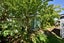 460 Armagh Street, Linwood, Christchurch - Carousel 8