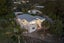 12 Tiri View Road, Palm Beach, Waiheke Island - Carousel 1