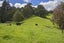 1366 Hukerenui Road, Hukerenui, Hikurangi - Carousel 30