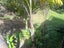 51B Goffe Drive, Haruru, Haruru - Carousel 17