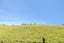 2377 Motueka Valley Highway, Woodstock, Motueka - Carousel 38