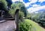 1695 Wyuna Bay Road, Wyuna Bay, Coromandel - Carousel 43