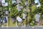 66A Utuhina Road, Springfield, Rotorua - Carousel 17