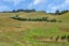 141 Adams Road, Whangarei - Carousel 41