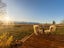0 Tekapo Twizel Hwy, Pukaki - Carousel 3