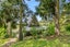 14 Glendale Road, Woodhill, Whangarei - Carousel 16
