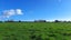 157 Motuiti Road, Foxton, Foxton - Carousel 8