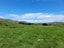 990B Waihola Highway, Waihola, Clutha, Otago - Carousel 7