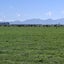76 Rangitata Huts Road, Clandeboye, Temuka - Carousel 14