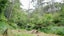 127 Dimmock Road, Pokeno - Carousel 11
