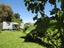 8 Grey Street, Wairoa, Wairoa - Carousel 13