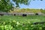 342B Tamahere Drive, Tamahere, Hamilton - Carousel 50