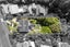 3 Coroglen Avenue, Birkenhead, Auckland - Carousel 31