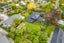 43A Bowenvale Avenue, Cashmere, Christchurch - Carousel 34