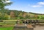 119 Ingram Road, Drury - Carousel 24