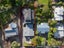196 Ti Rakau Drive, Pakuranga Heights, Auckland - Carousel 3