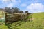 38 Beatty Road, Dannevirke - Carousel 29