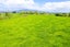 Lot 3 Bird Road, Pirongia, Waipa, Waikato - Carousel 9
