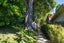 43 Melrose Street, Roslyn, Dunedin - Carousel 40