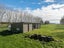 258 Holland Road, Puketaha, Hamilton - Carousel 9