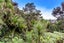 36 Kereru Grove, Greenhithe, Auckland - Carousel 29