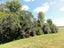 57 Nonoti Road, Cheviot, Cheviot - Carousel 26