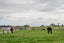 131 Station Road, Temuka - Carousel 20