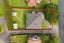 40 Ngake Street, Orakei, Auckland - Carousel 4