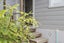 11A Keepa Street, Levin, Levin - Carousel 3