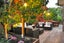 90B Long Drive, St Heliers, Auckland - Carousel 1