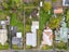 339 Ettrick Street, Georgetown, Invercargill - Carousel 35