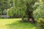 100 East Street, Greytown, Greytown - Carousel 21