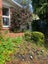 55 Woodbury Street, Russley, Christchurch - Carousel 33