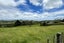 1611 Kaipara Coast Highway, Kaukapakapa, Kaukapakapa - Carousel 37
