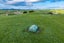 272 Huarau Road, Maungaturoto - Carousel 32