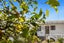 38 Okiato Road, Okiato, Russell - Carousel 17