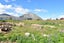 33 OHAU DR, Lake Ōhau, LAKE OHAU - Carousel 5
