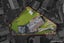 27 Astor Place, Manurewa, Auckland - Carousel 22